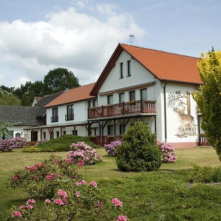 Hotel Zur Wildtranke Шпремберг Екстериор снимка